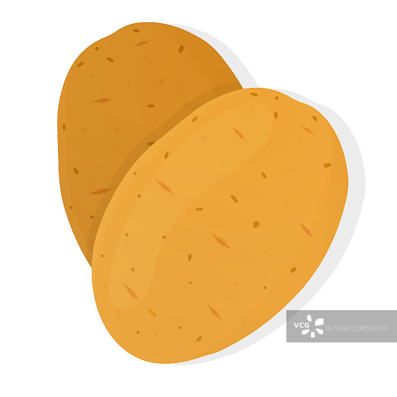 白色背景上隔离的两个土豆图片素材