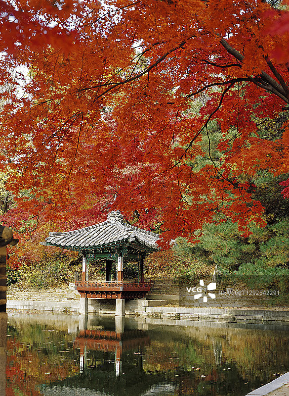 韩国首尔昌德宫的秋景图片素材