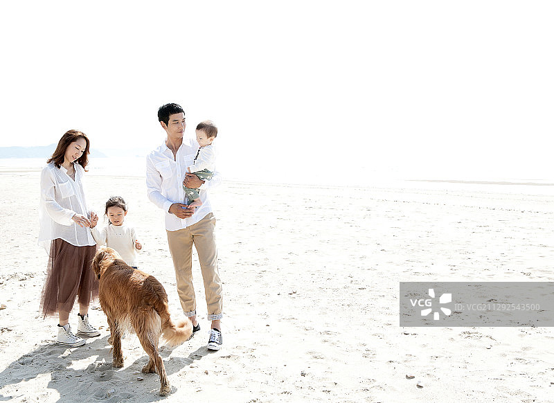 快乐的一家和狗在海滩上图片素材