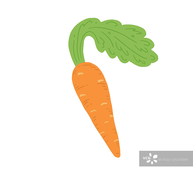 简单的手绘胡萝卜图片素材