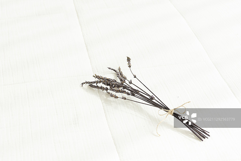 白色背景上的干花摄影图片素材