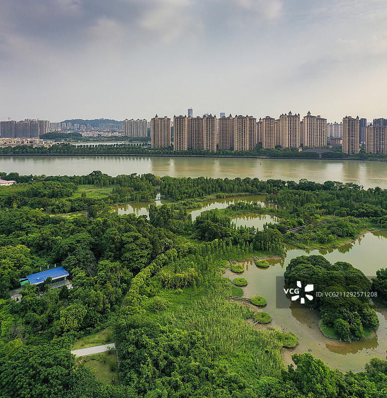 中国广东广州，航拍广州大学城湾咀头湿地公园图片素材