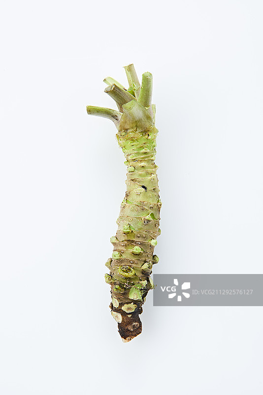 新鲜山葵特写摄影图片素材