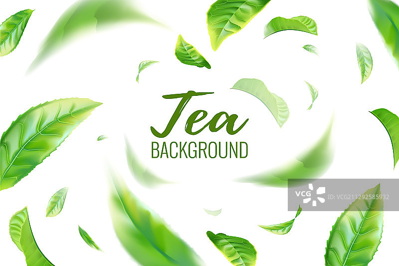 逼真的绿茶叶背景图片素材