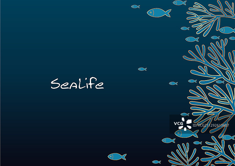 海洋中带有珊瑚礁边界的鱼群图片素材