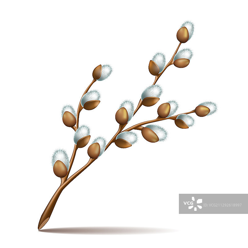 复活节开花的春季小树枝图片素材