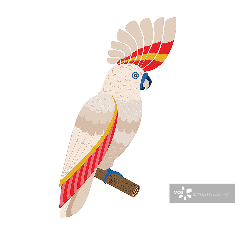 扁平风格的米切尔粉红葵花鹦鹉图片素材