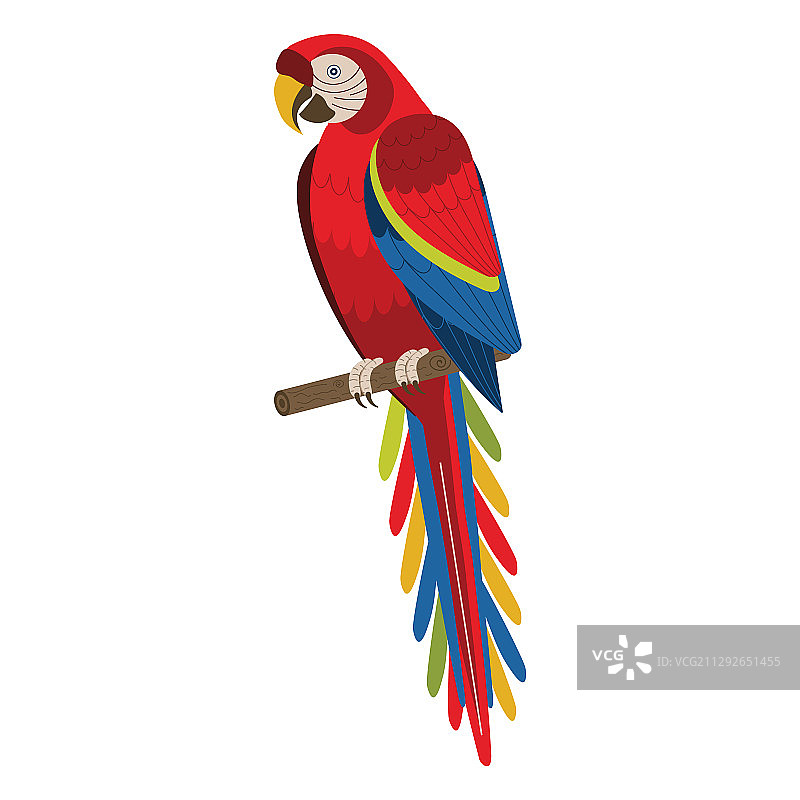 扁平风格的猩红色金刚鹦鹉红色异国鹦鹉图片素材