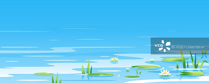 水面与睡莲图片素材