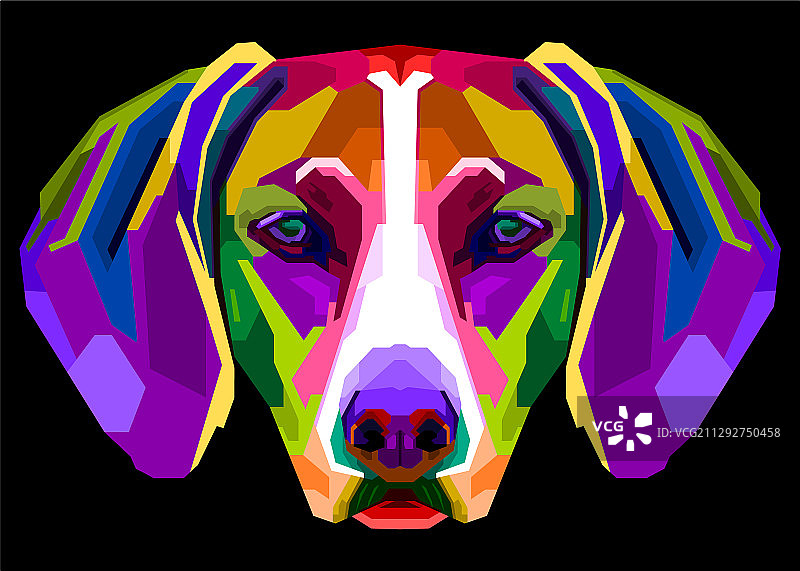 波普艺术风格的彩色维兹拉犬图片素材