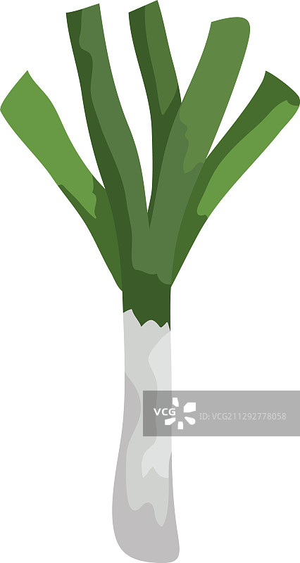 新鲜韭菜蔬菜孤立图标图片素材