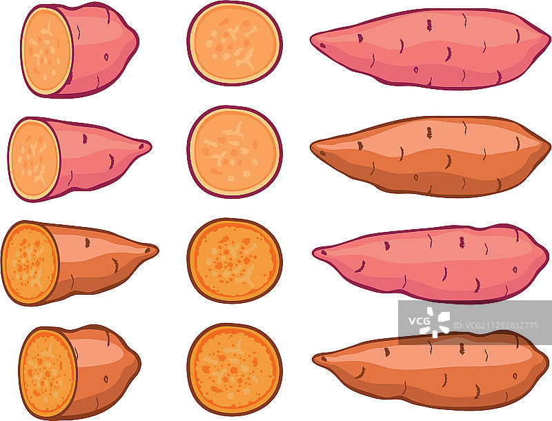 红薯合集图片素材