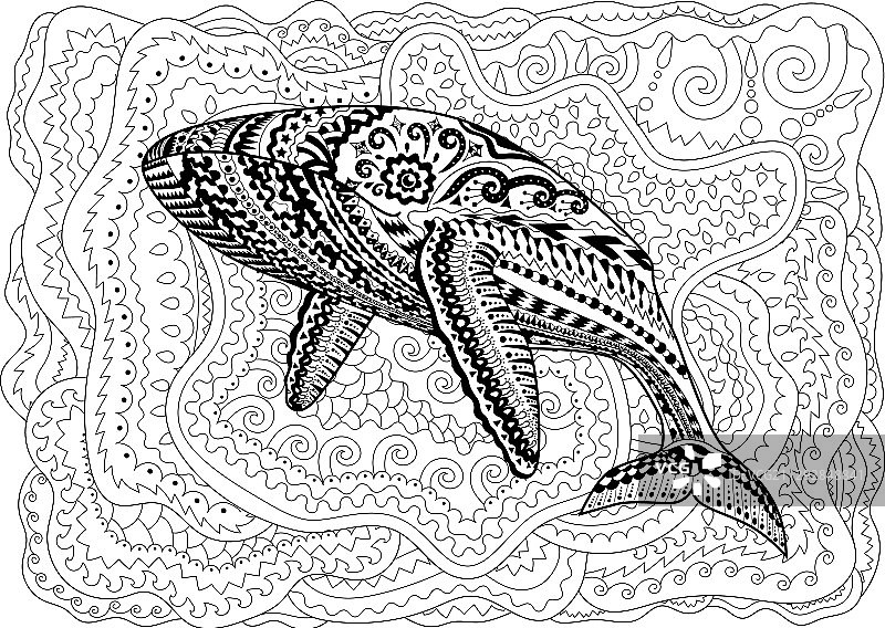 成人蓝鲸涂色页图片素材