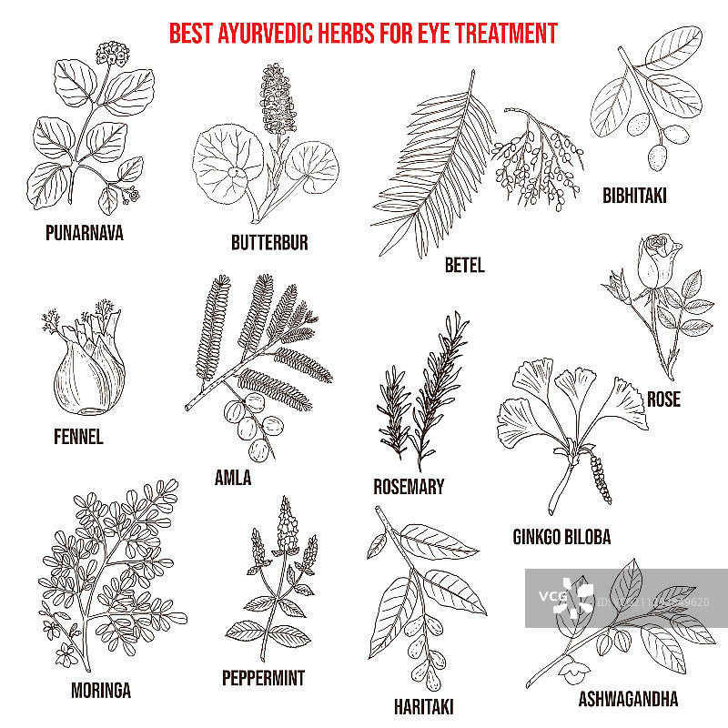 用于眼部治疗的阿育吠陀草药图片素材