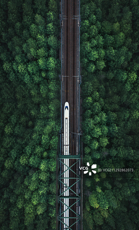 动车飞跃绿色丛林图片素材