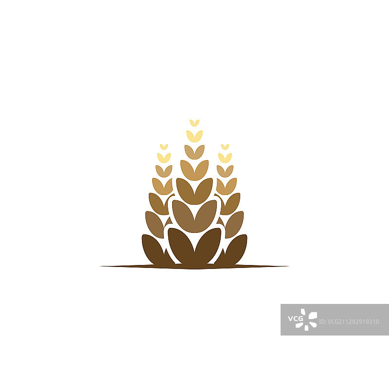 农业小麦图标标志创意灵感图片素材
