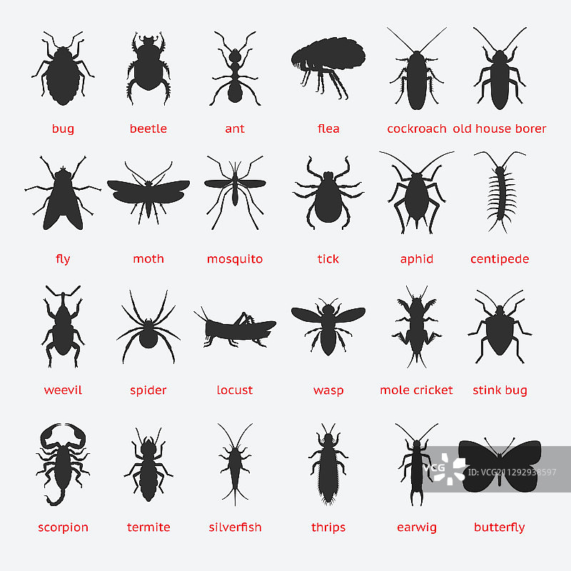 害虫防治昆虫黑色剪影合集图片素材