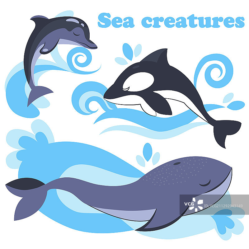 白色海洋哺乳动物集合图片素材