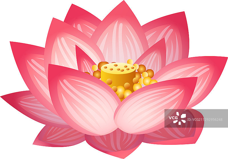 卡通风格莲花图标图片素材