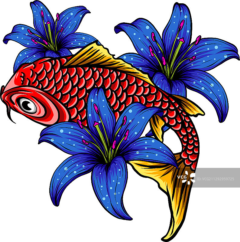 锦鲤与芙蓉花线条图片素材