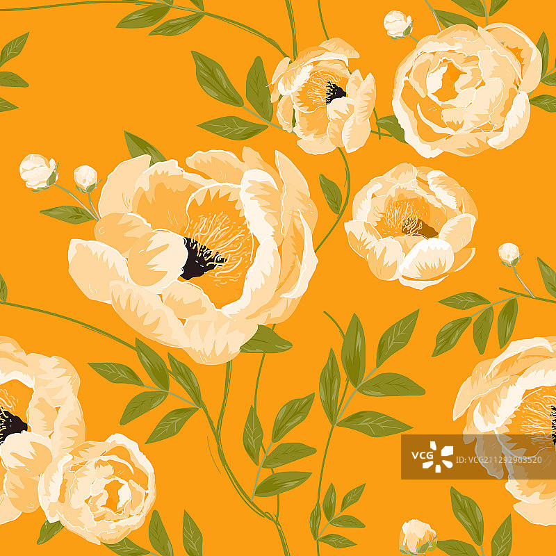 大型米粉色花蕾和牡丹花图片素材