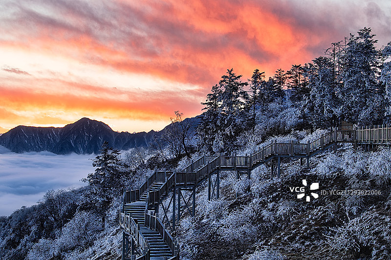 西岭雪山晚霞雪林栈道图片素材