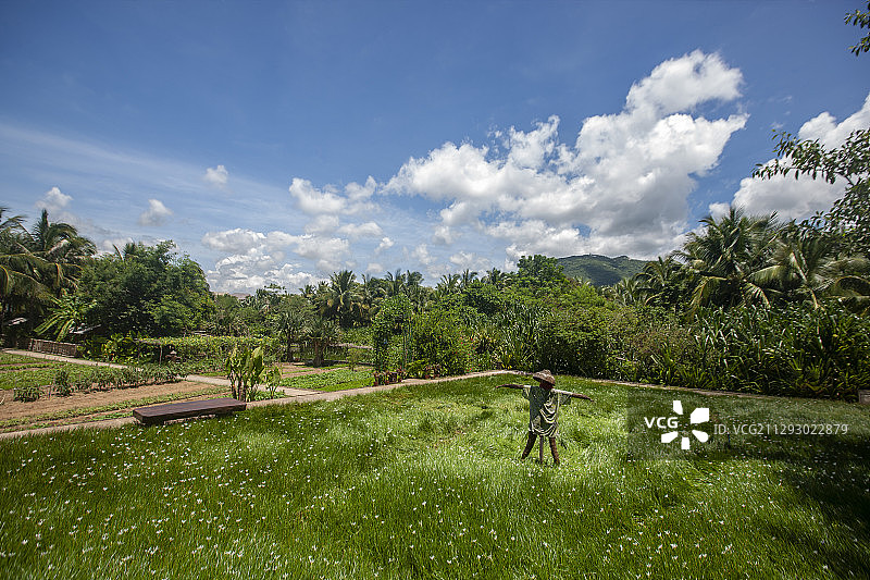 稻草人图片素材
