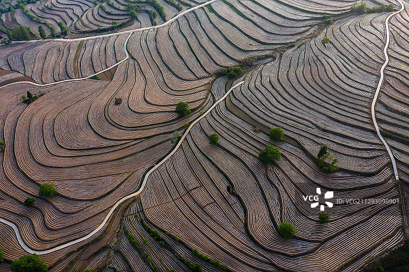 上帝的指纹图片素材