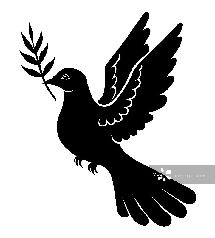 带棕榈树枝轮廓的鸽子图片素材