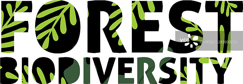 国际日庆祝活动设计图片素材