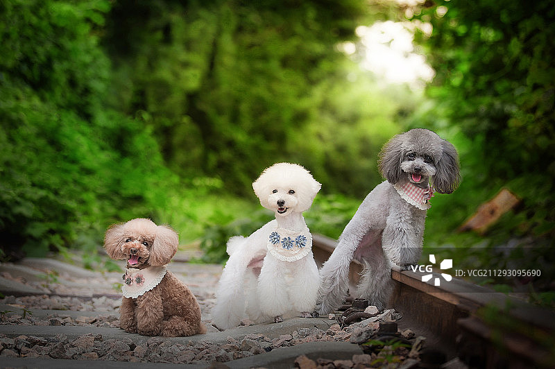 一家人就要整整齐齐图片素材