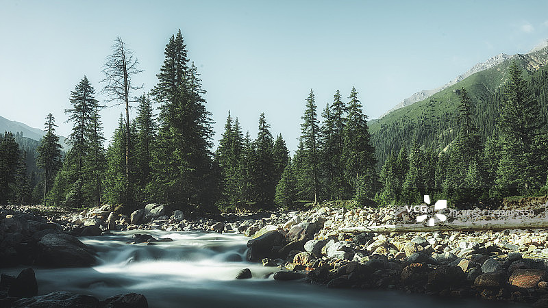 青海省海北州冰沟林海图片素材
