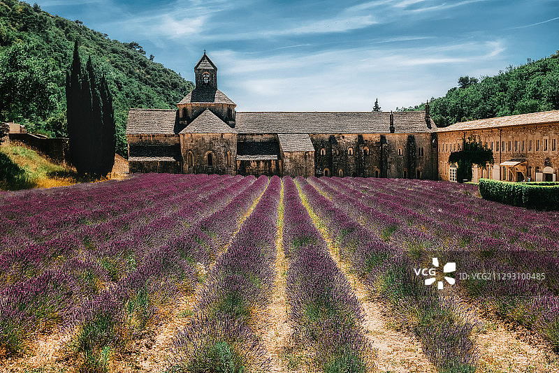 盛夏的塞南克修道院图片素材