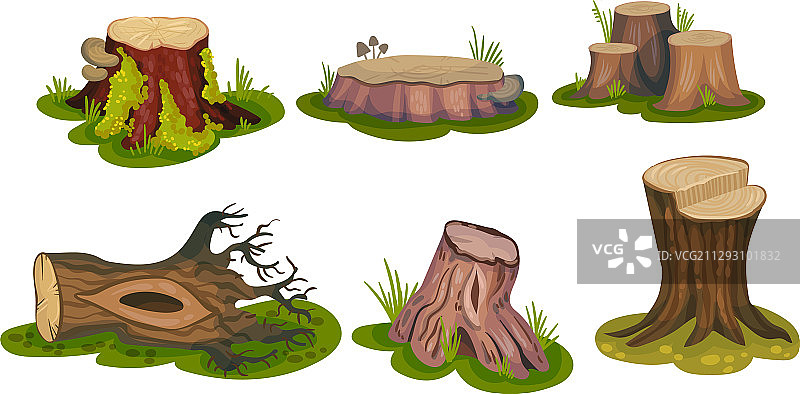 新鲜树桩和覆盖着苔藓的树墩图片素材