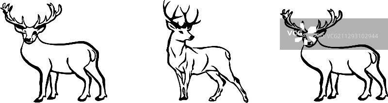 背景上的孤立鹿图标图片素材