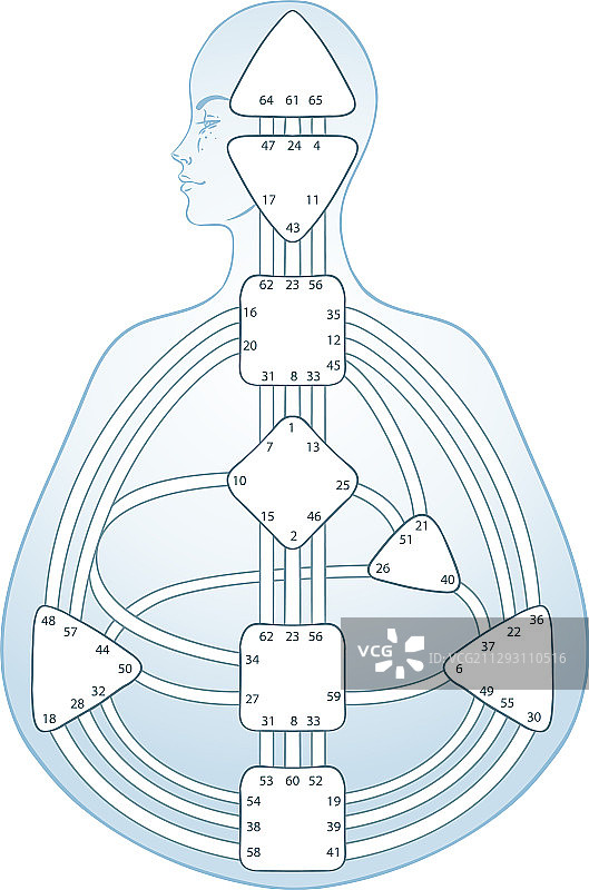 人体设计身体图表设计图片素材