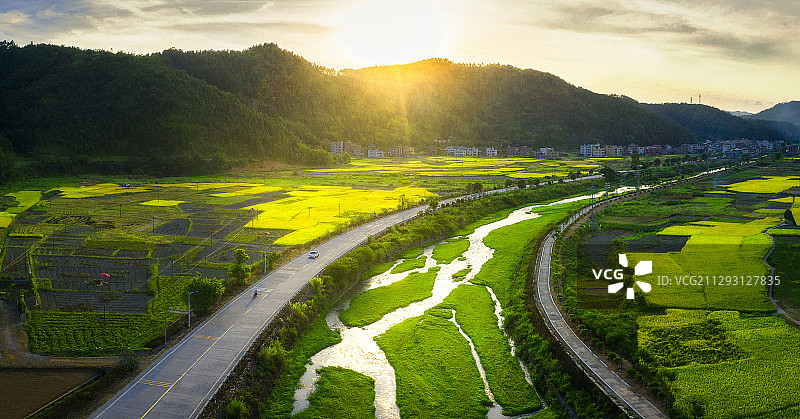 绿油油的田野图片素材