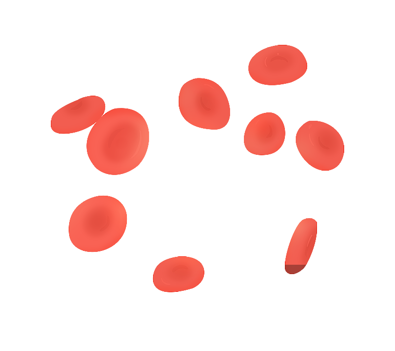 红细胞图片素材