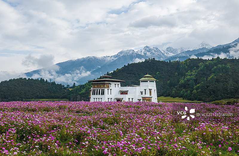 林芝鲁朗图片素材