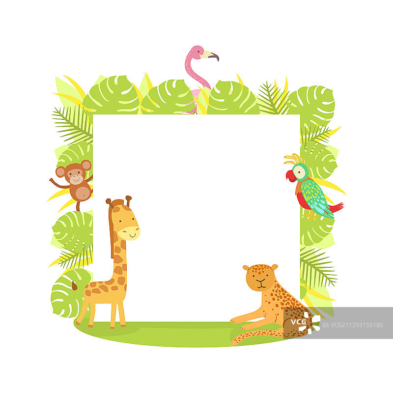 带空白banner的丛林动物：火烈鸟和猴子图片素材