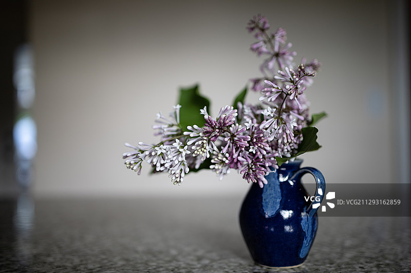 蓝色花瓶中的紫色丁香花图片素材