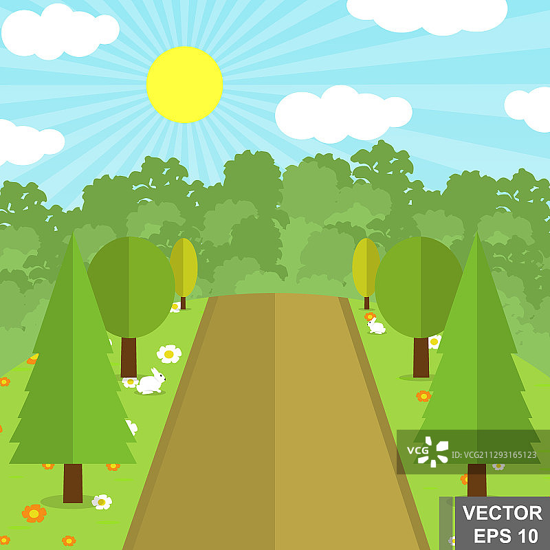 林地中的道路图片素材