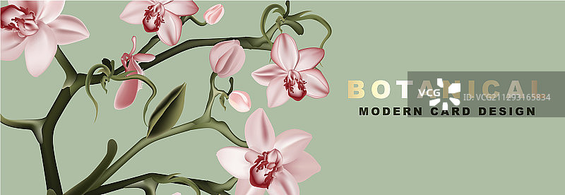 野生花园兰花水彩图片素材