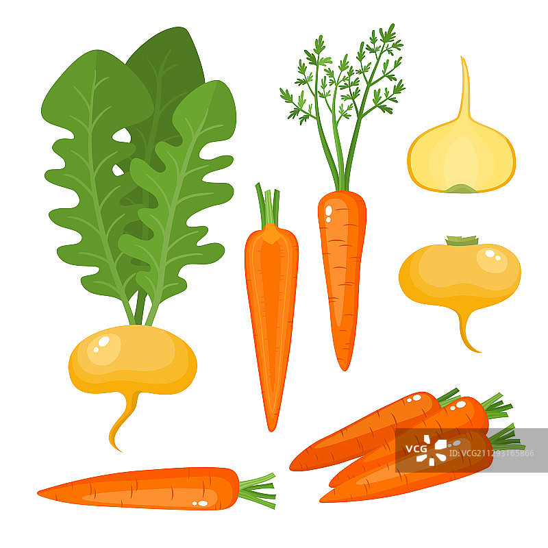 鲜艳的彩色萝卜图片素材