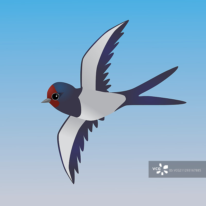 可爱卡通家燕图片素材