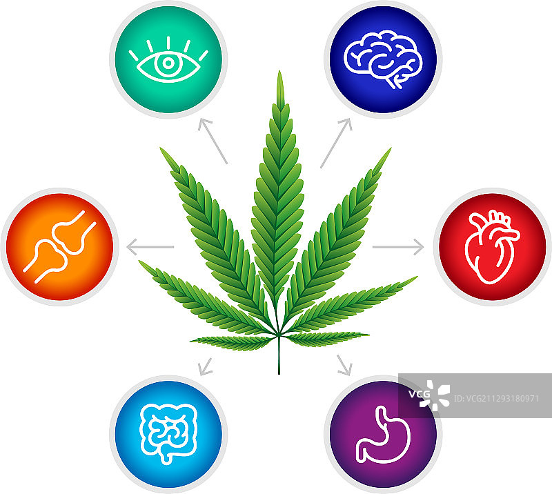 CBD油对大脑的医疗益处图片素材