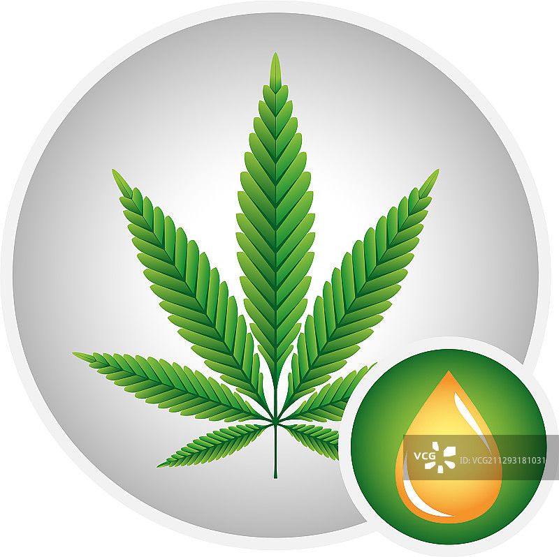 工业大麻CBD油图标图片素材