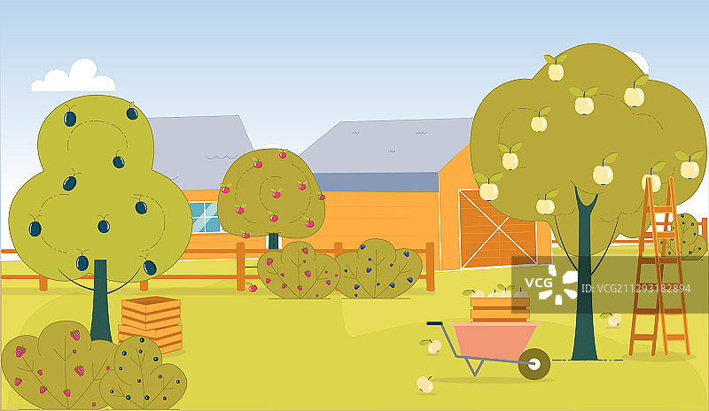 乡村农场后院的果树采摘景象图片素材