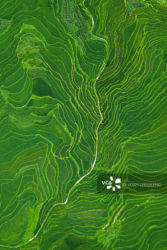 航拍梯田纹理与线条图片素材