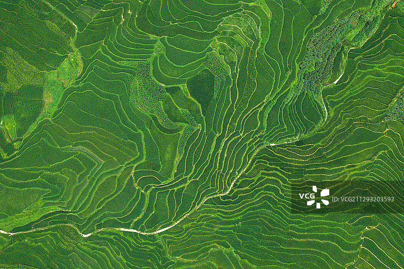 航拍梯田纹理与线条图片素材